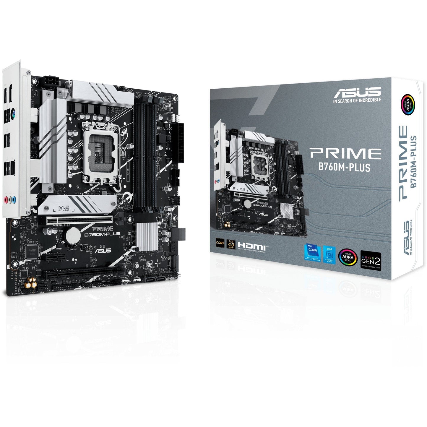 Asus - PRIME B760M-PLUS - Mainboard