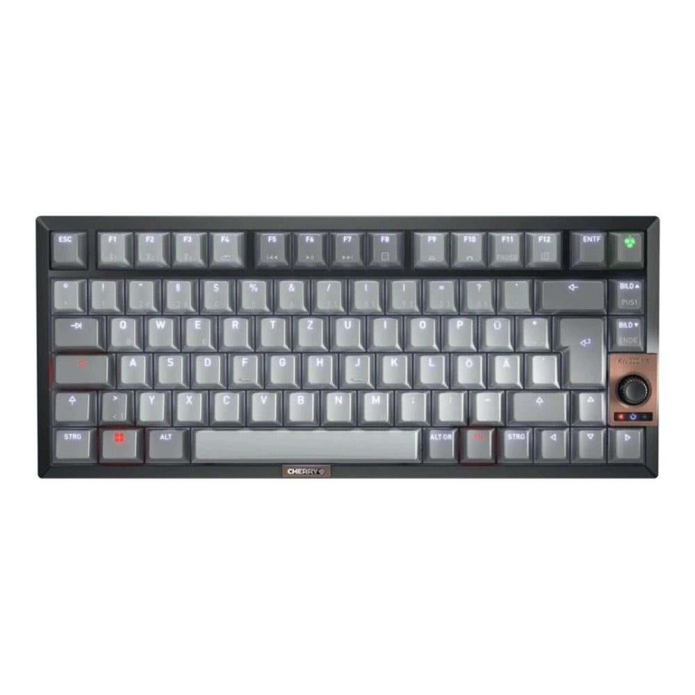 Cherry KW 300W MX Silent Switch KEYBOARD - QWERTY - Tastatur