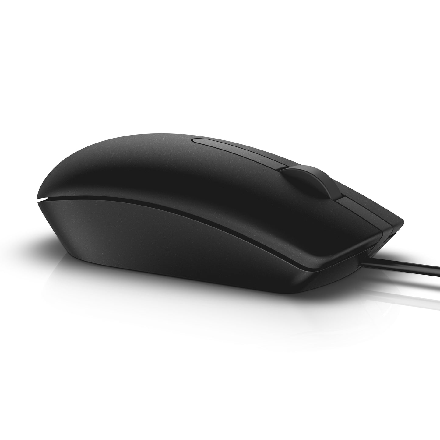Dell MS116 - optisch - Maus