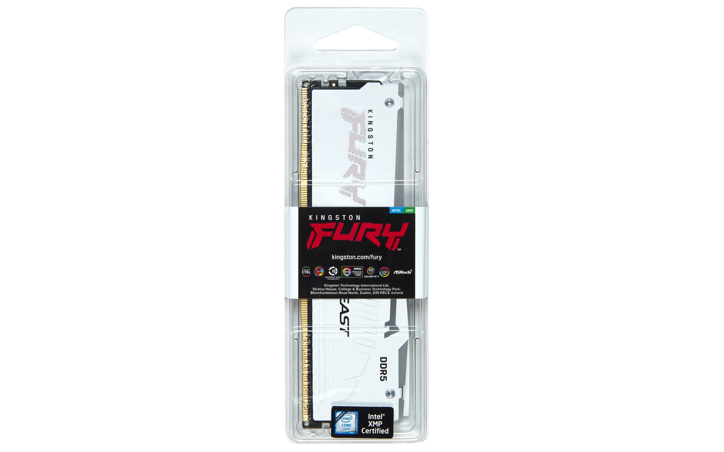 Kingston 6000MT/s CL30 DIMM FURY Beast White RGB EXPO - 32 GB - DDR5 - Arbeitsspeicher