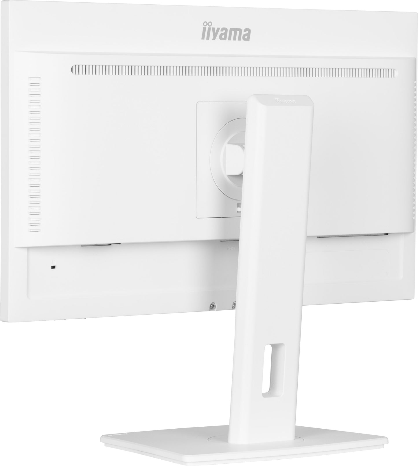 Iiyama ProLite XUB2497HSN - W2 24 IPS - 60,5 cm - Monitor