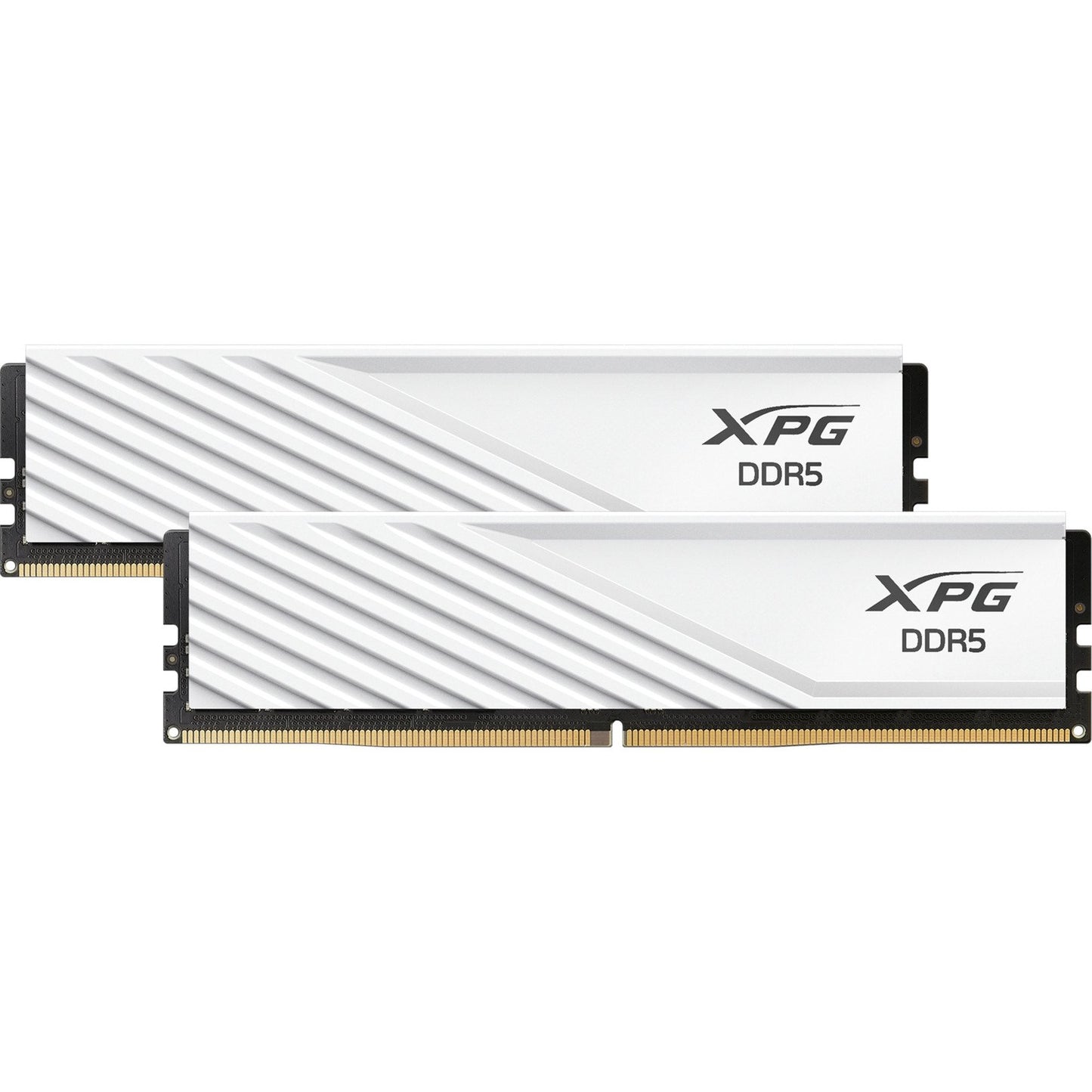 ADATA - DIMM 32 GB DDR5-6000 Dual-Kit - Arbeitsspeicher