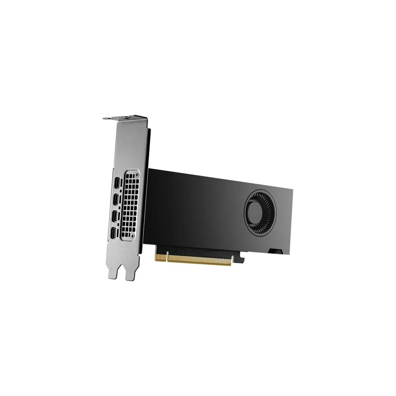 PNY Rtx2000 Ada nVidia Rtx 2000 - PCI - Express - Grafikkarte