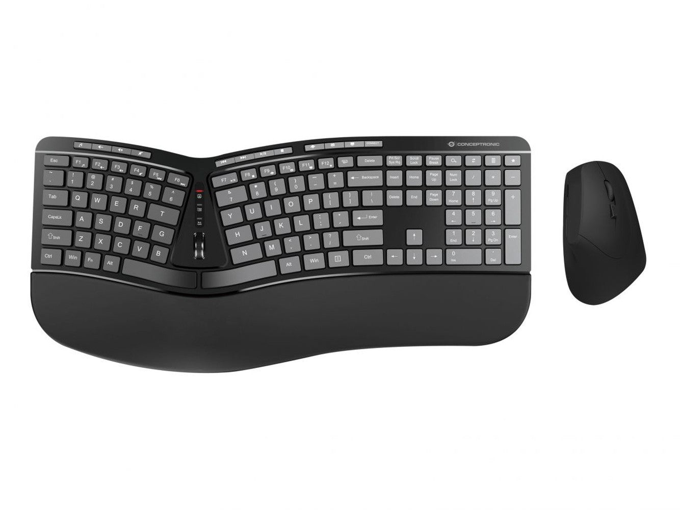 Conceptronic Wireless Keyboard+Mouse ergo Layout US sw - 1.600 dpi - Tastatur