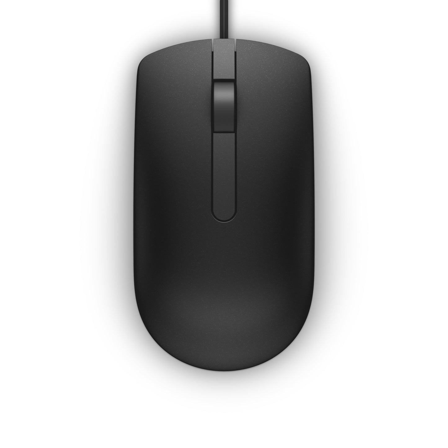 Dell MS116 - optisch - Maus