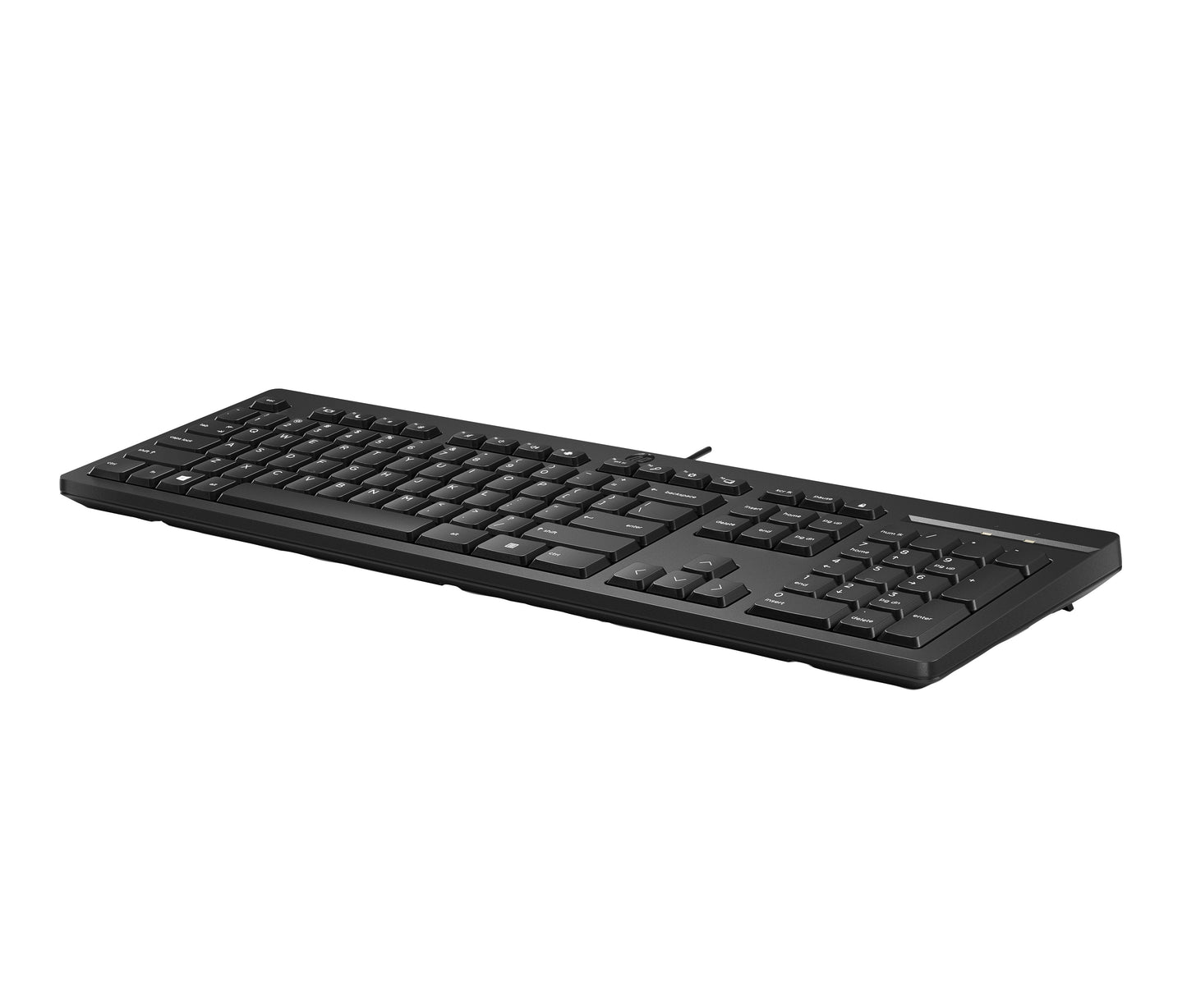 HP 125 G2 - 100% - full size - USB - Tastatur