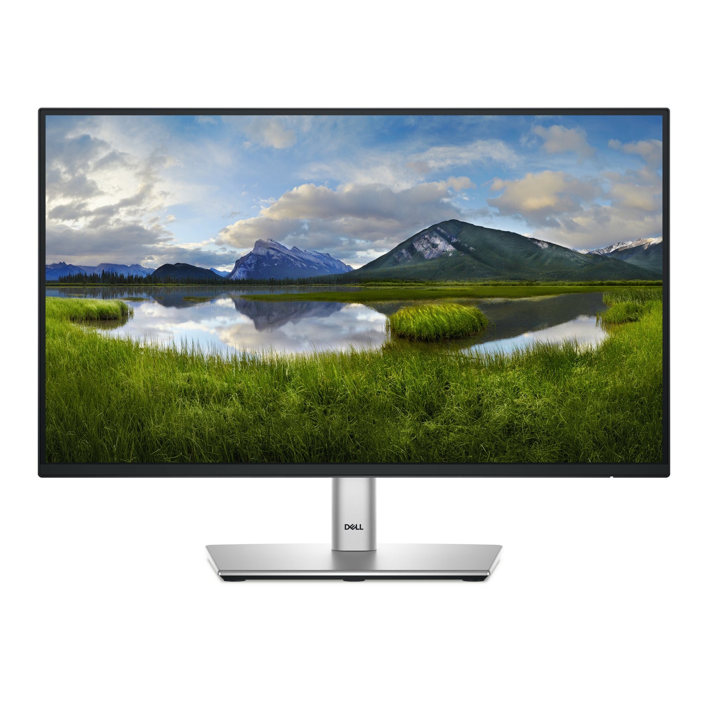 Dell 22 Monitor P2225H - 54,6 cm - Monitor