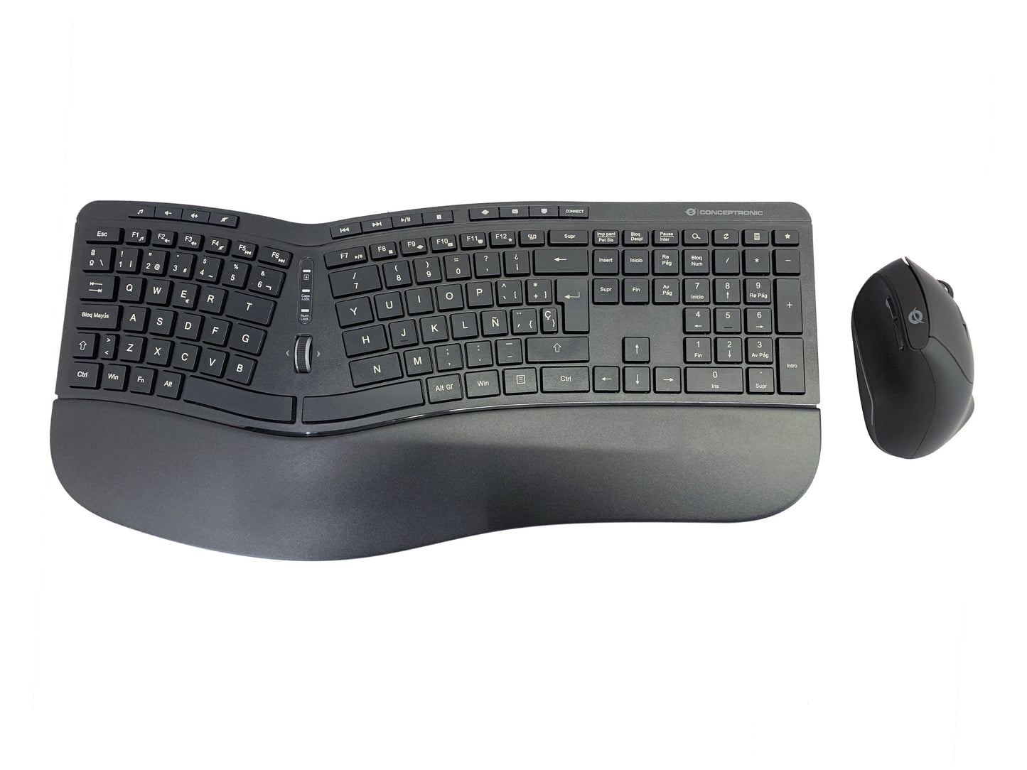 Conceptronic ORAZIO ERGO Kabelloses Set aus ergonomischer Tastatur und vertikaler Maus - spanisch - Volle Größe (100%) - Kabellos - RF Wireless - QWERTY - Schwarz - Maus enthalten - Tastatur