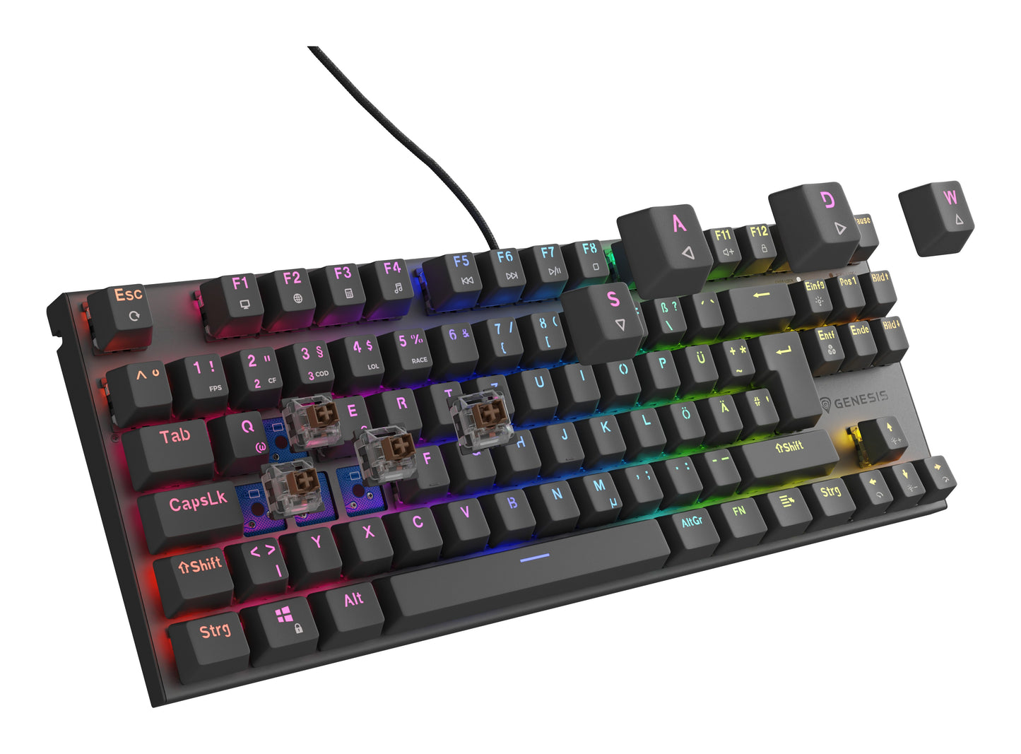 natec Gaming Tastatur Thor 303 TKL brown kabelgeb. DE - Tastatur