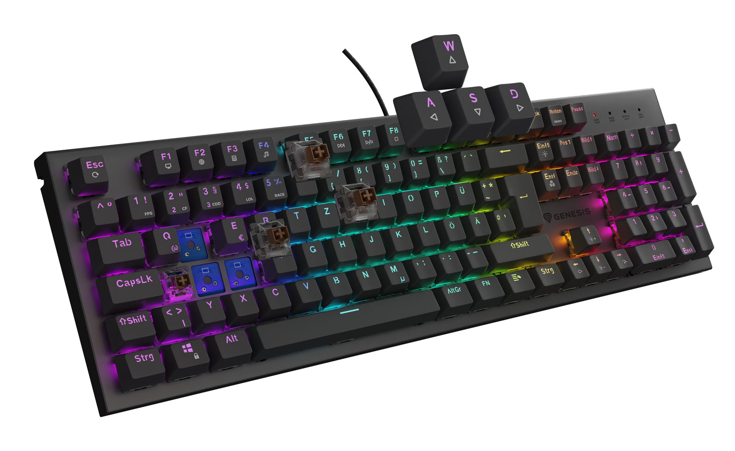natec Gaming Tastatur Thor 303 brown kabelgeb. DE - Tastatur