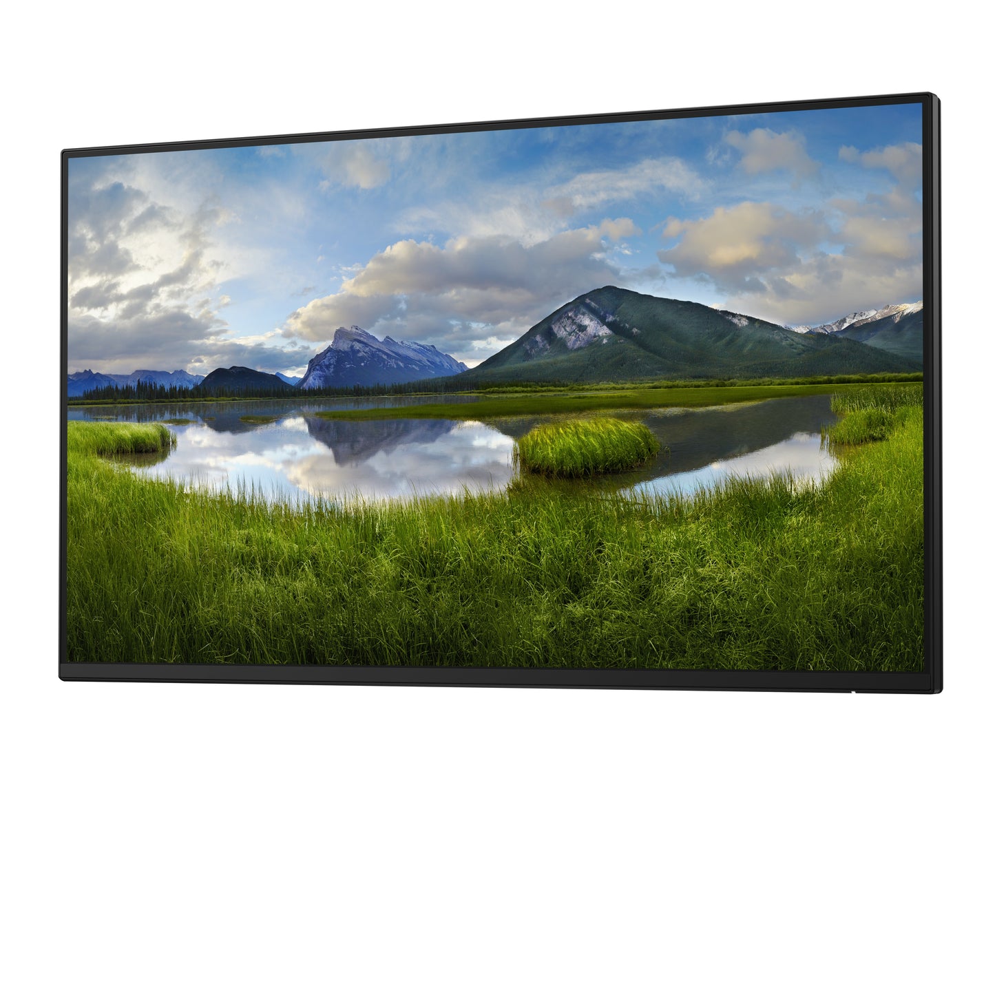 Dell 24 Monitor P2425H - 61 cm - Monitor