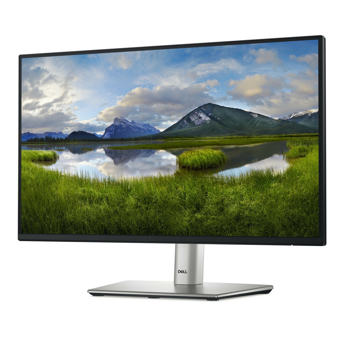 Dell 22 Monitor P2225H - 54,6 cm - Monitor