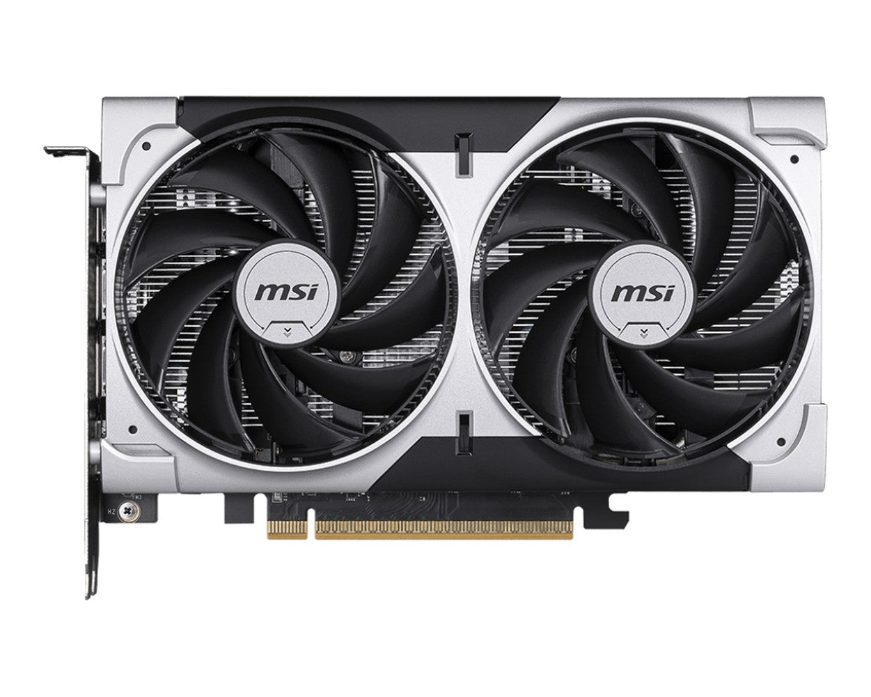 MSI GeForce RTX 5050 8G VENTUS 2X OC - VGA - PCI - E x16 - Grafikkarte