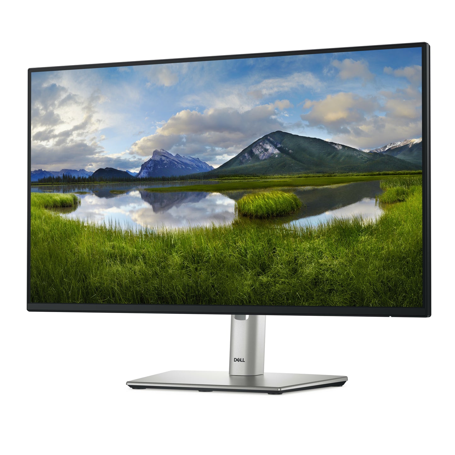 Dell 24 - P Series P2425H FHD 24" Monitor - 60,5 cm - Monitor