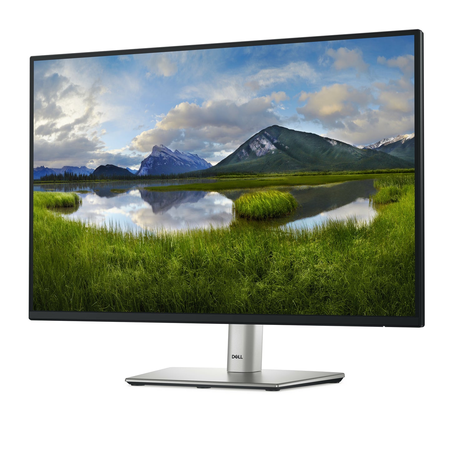 Dell 24 Monitor P2425 - 61,1 cm - Monitor