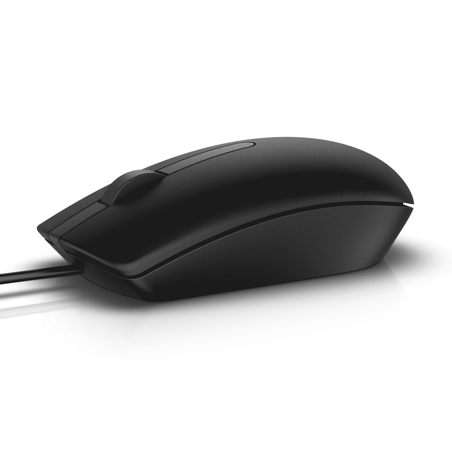 Dell MS116 - optisch - Maus