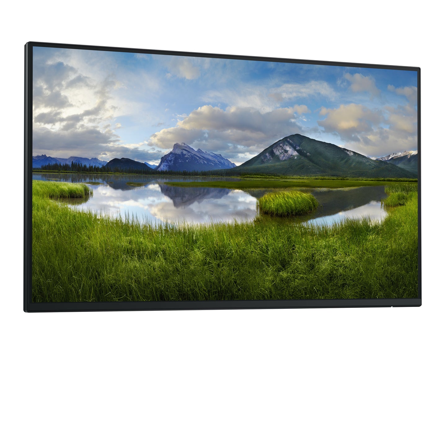 Dell 24 Monitor P2425H - 61 cm - Monitor