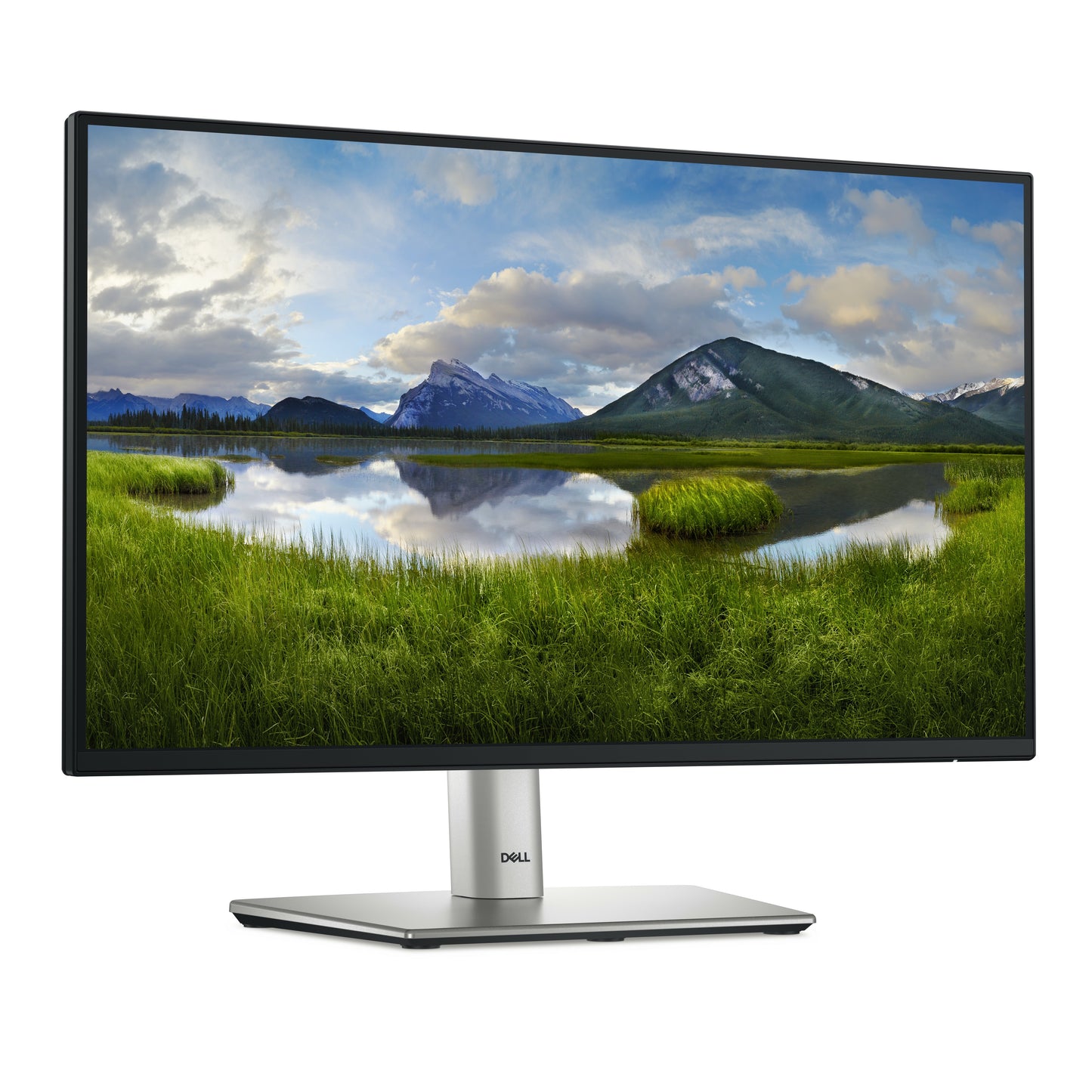 Dell 22 Monitor P2225H - 54,6 cm - Monitor