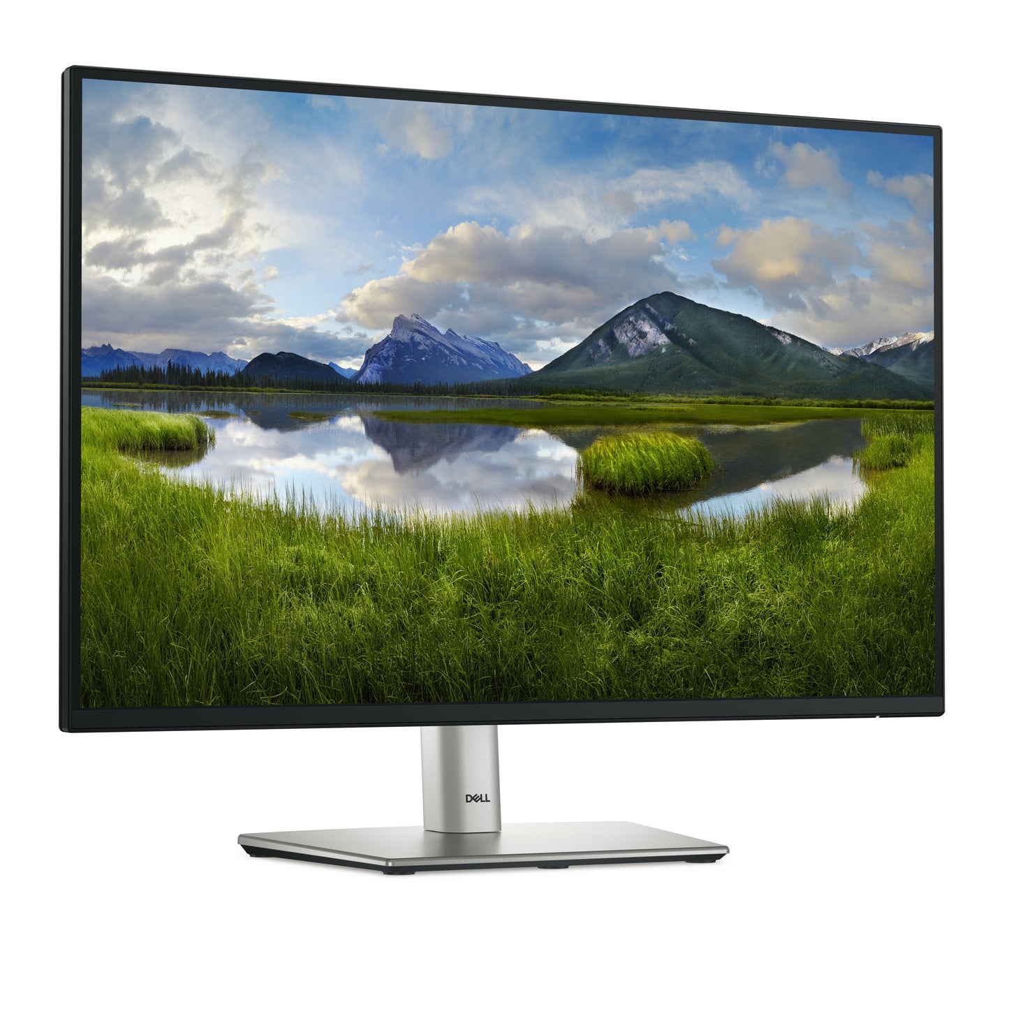 Dell 24 Monitor P2425 - 61,1 cm - Monitor