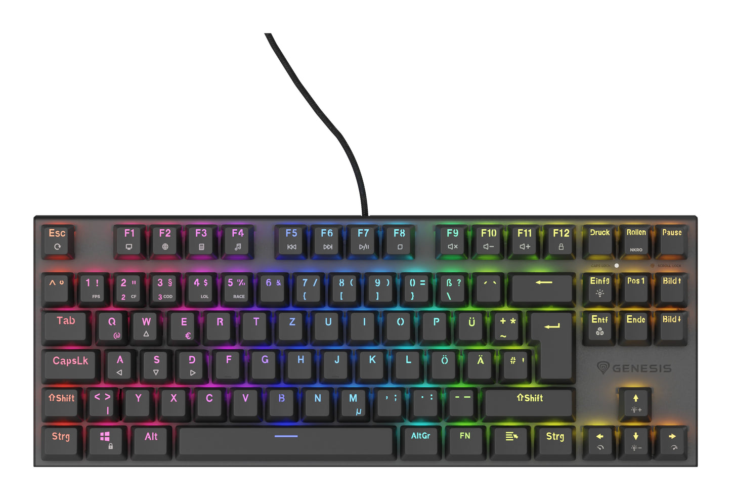 natec Gaming Tastatur Thor 303 TKL brown kabelgeb. DE - Tastatur
