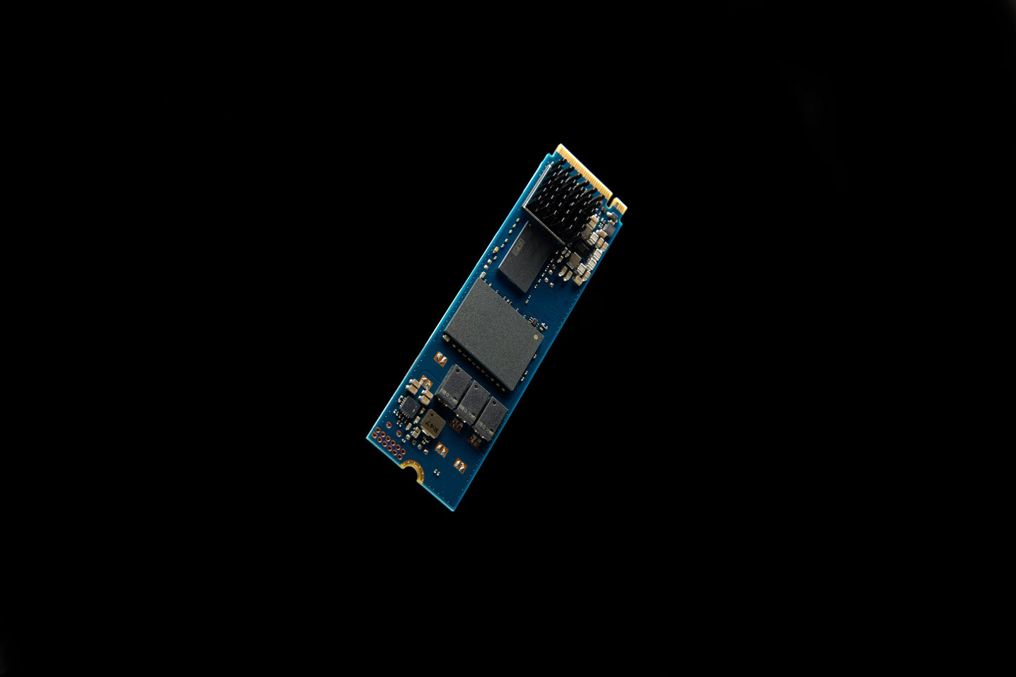 Kingston Dc2000B PCIe 4.0 m.2 2280 Enterprise Ssd - SSD