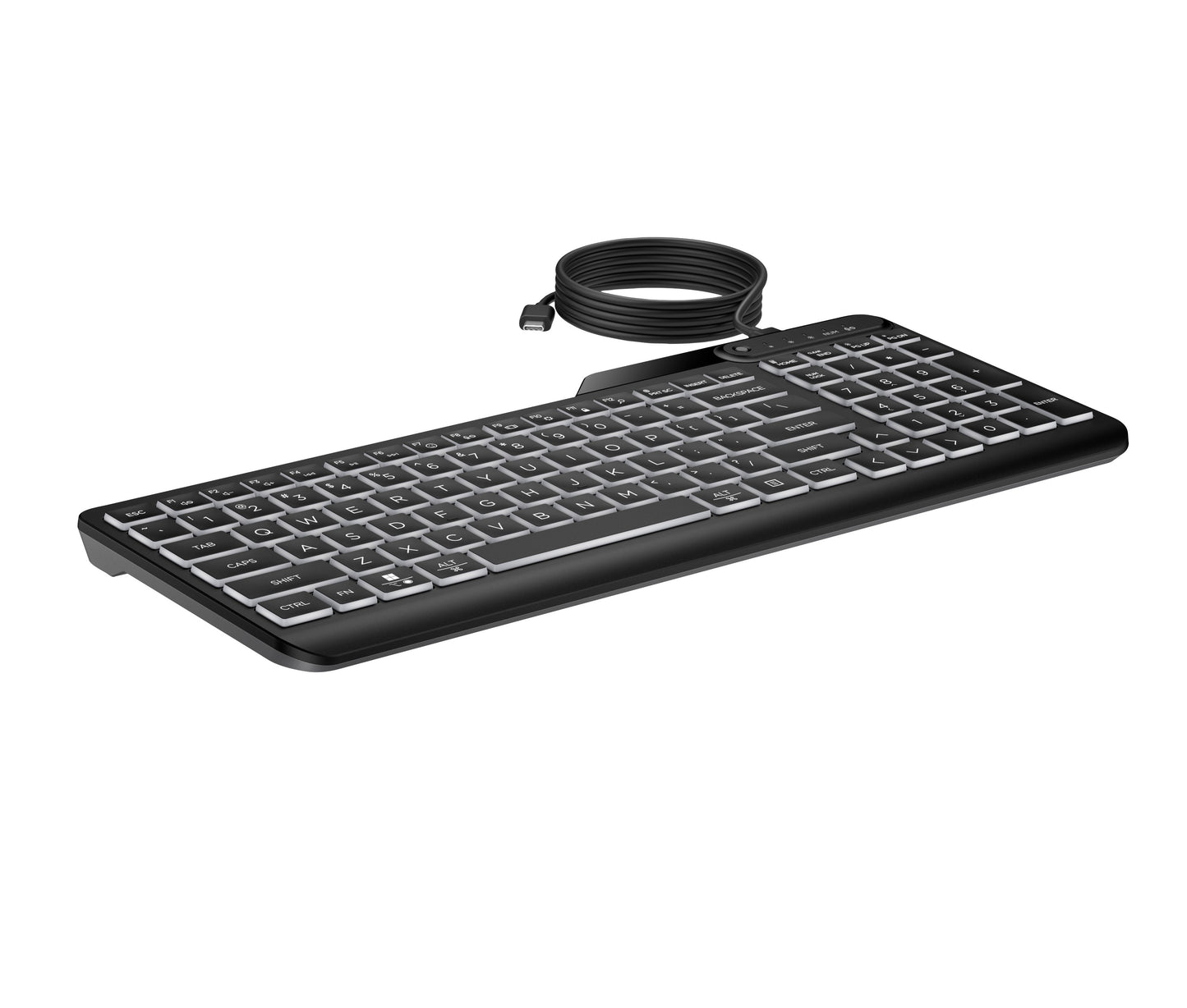 HP 400 Kabelgebundene Tastatur mit Hintergrundbeleuchtung - Volle Größe (100%) - Kabelgebunden - USB - Schwarz - Tastatur