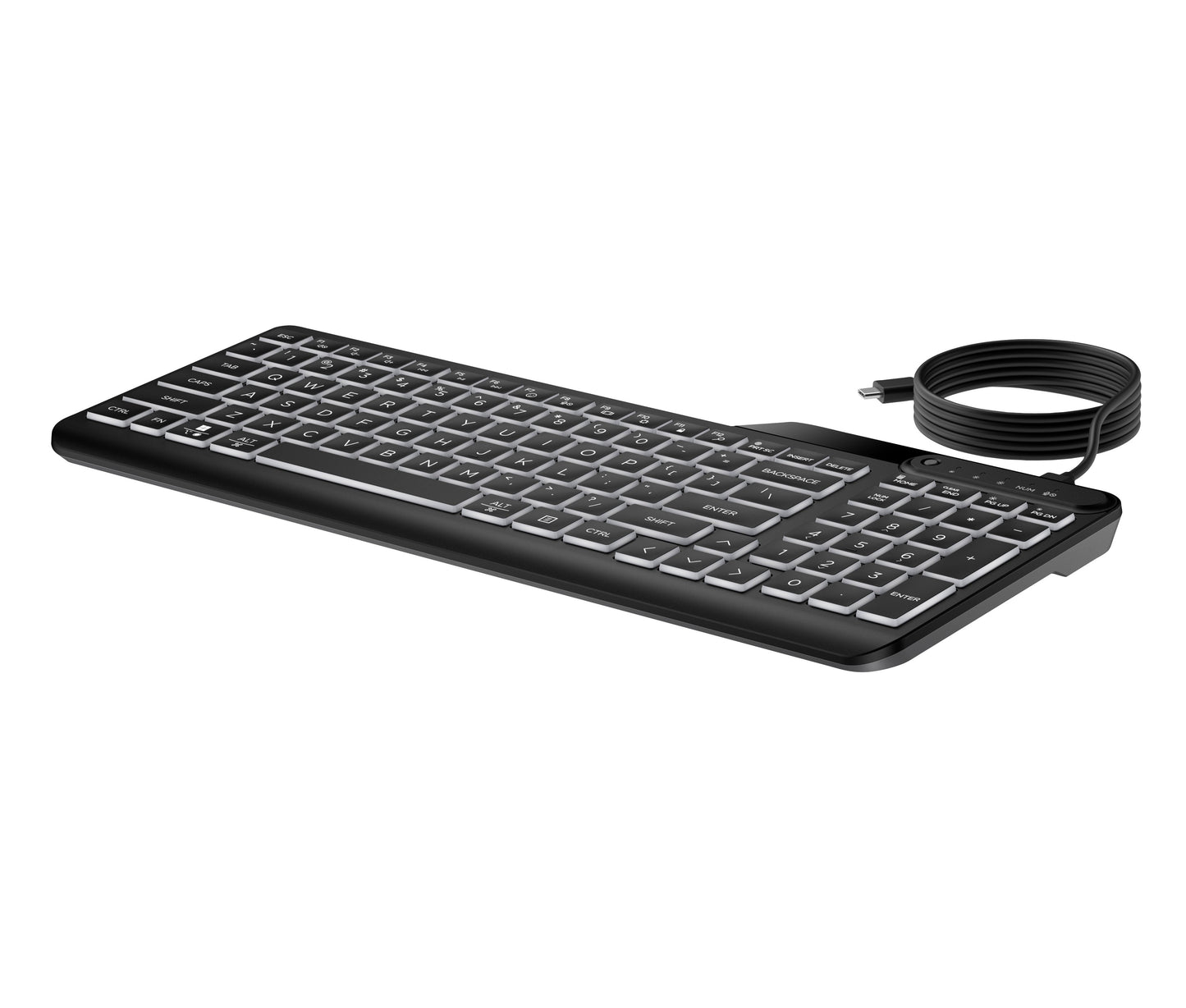 HP 400 Kabelgebundene Tastatur mit Hintergrundbeleuchtung - Volle Größe (100%) - Kabelgebunden - USB - Schwarz - Tastatur