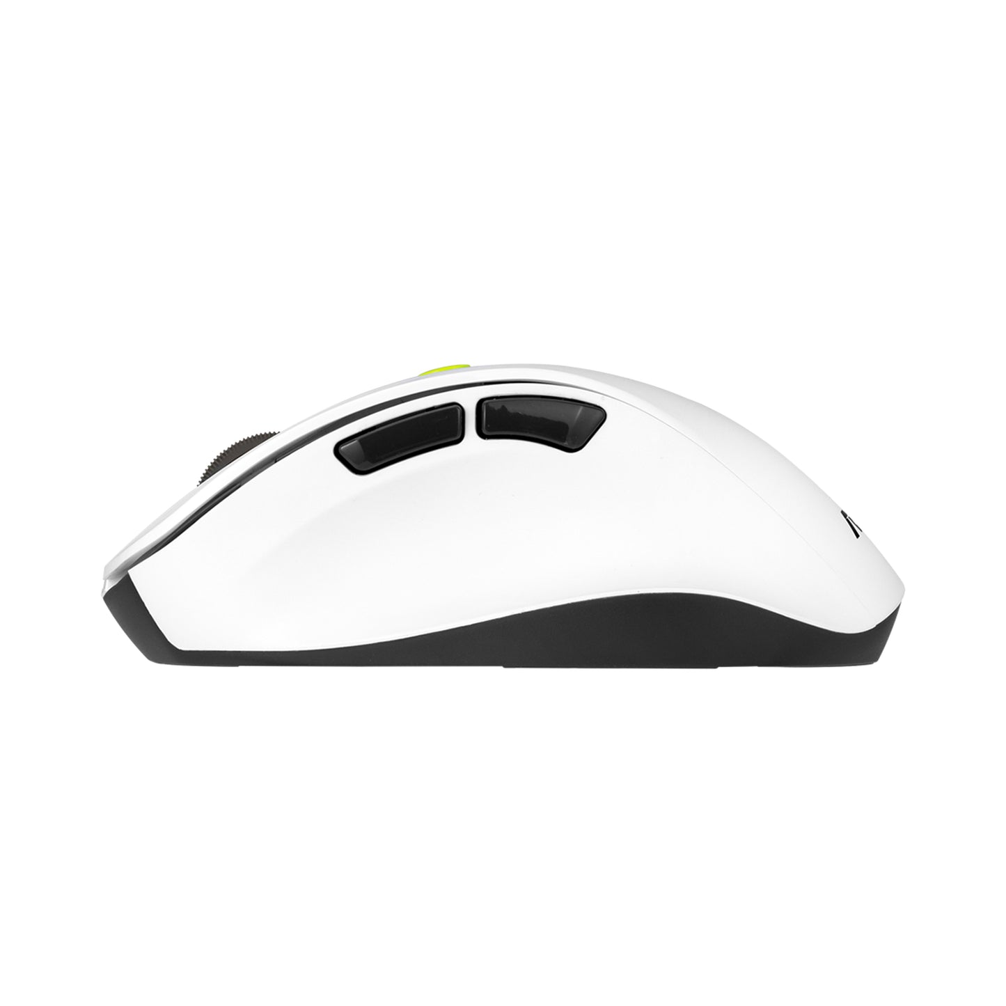 ASUS MD105 Maus wireless Volt Green - 2.400 dpi - Maus