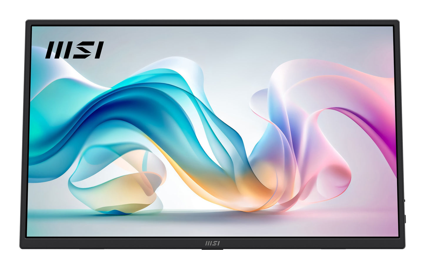 MSI PRO MP165DE E6 Tragbarer Monitor - 1920x1080 (FHD) - Monitor