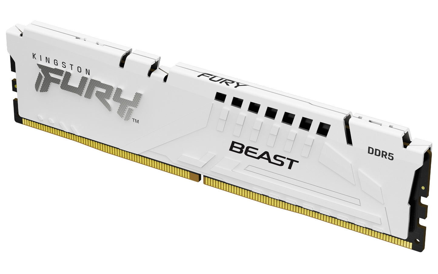 Kingston 6000MT/s CL30 DIMM Fury Beast - 16 GB - DDR5 - Arbeitsspeicher